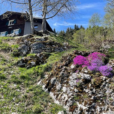 Alpenchalet Piz Huesli تشاغنز المظهر الخارجي الصورة
