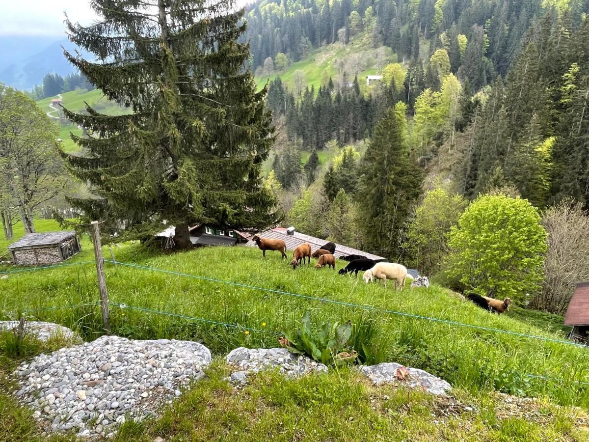 Alpenchalet Piz Huesli تشاغنز المظهر الخارجي الصورة