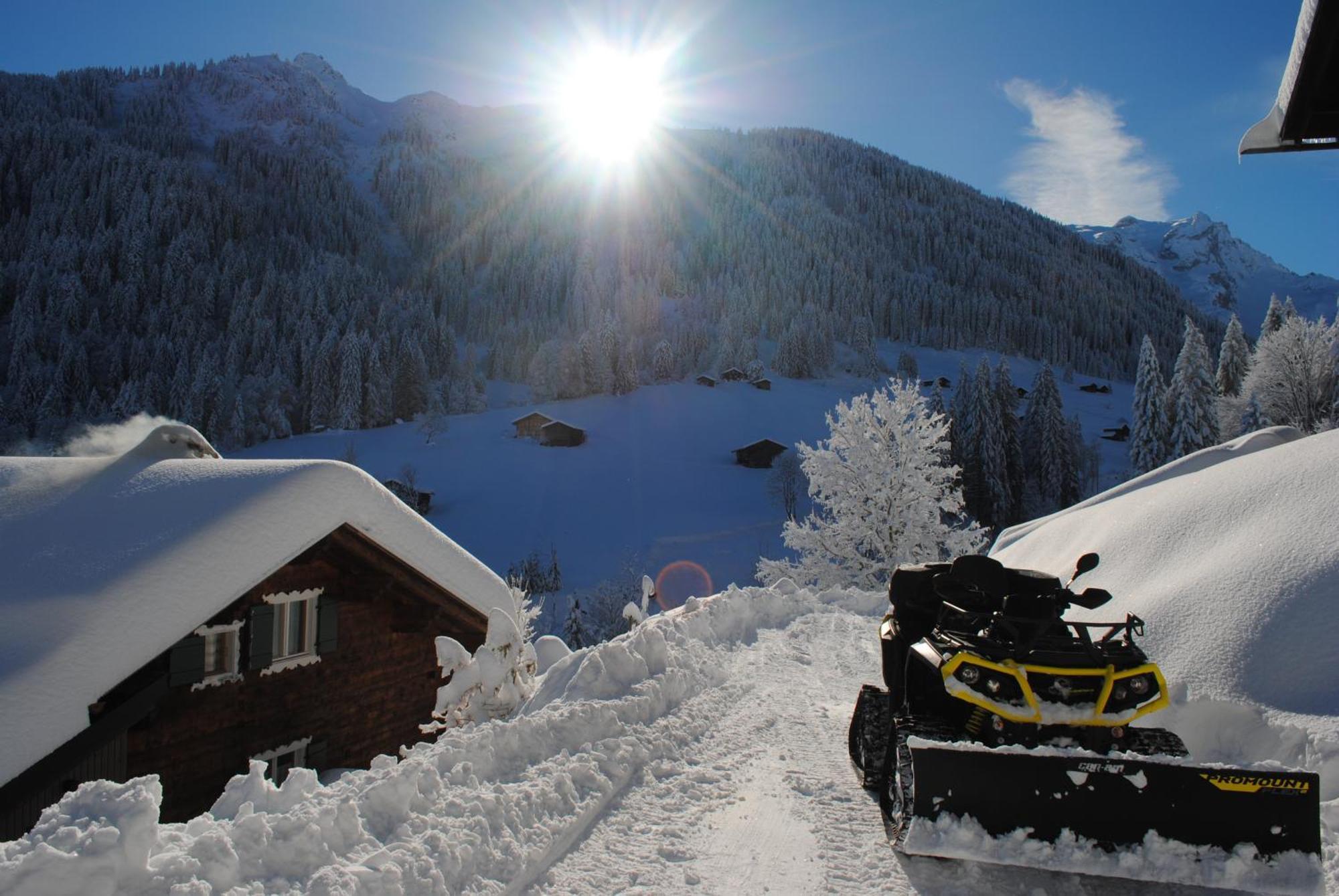 Alpenchalet Piz Huesli تشاغنز المظهر الخارجي الصورة