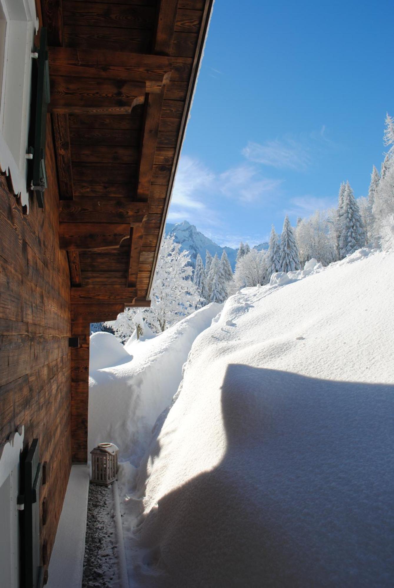 Alpenchalet Piz Huesli تشاغنز المظهر الخارجي الصورة