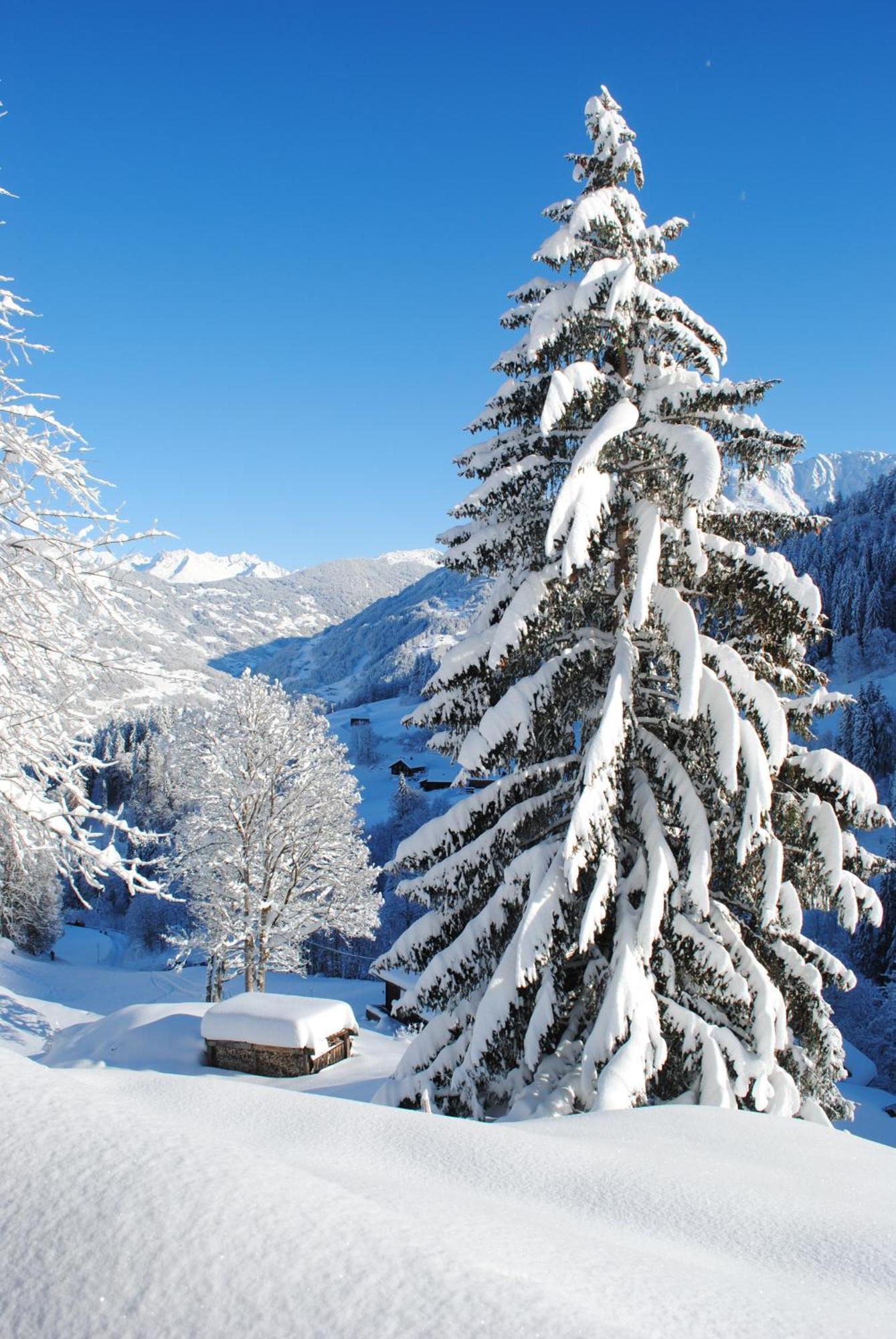Alpenchalet Piz Huesli تشاغنز المظهر الخارجي الصورة