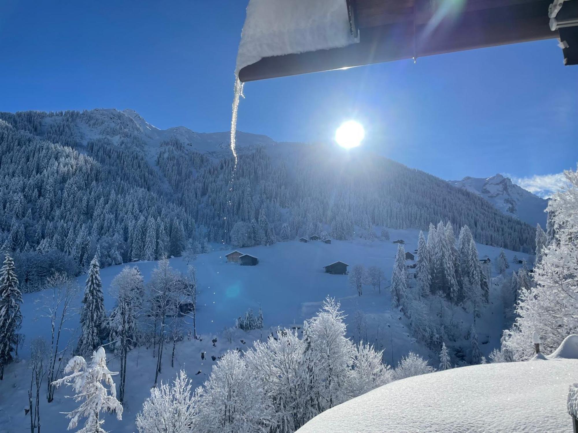 Alpenchalet Piz Huesli تشاغنز المظهر الخارجي الصورة
