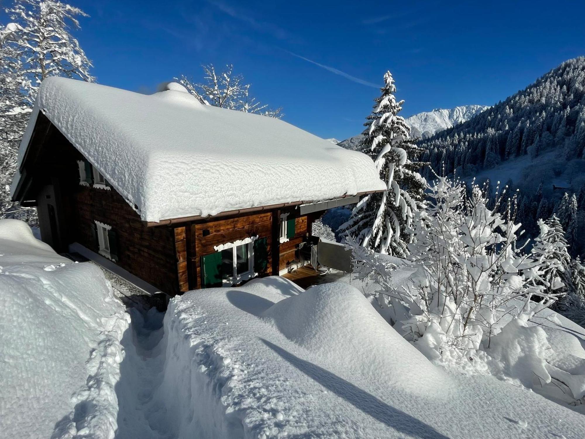 Alpenchalet Piz Huesli تشاغنز المظهر الخارجي الصورة