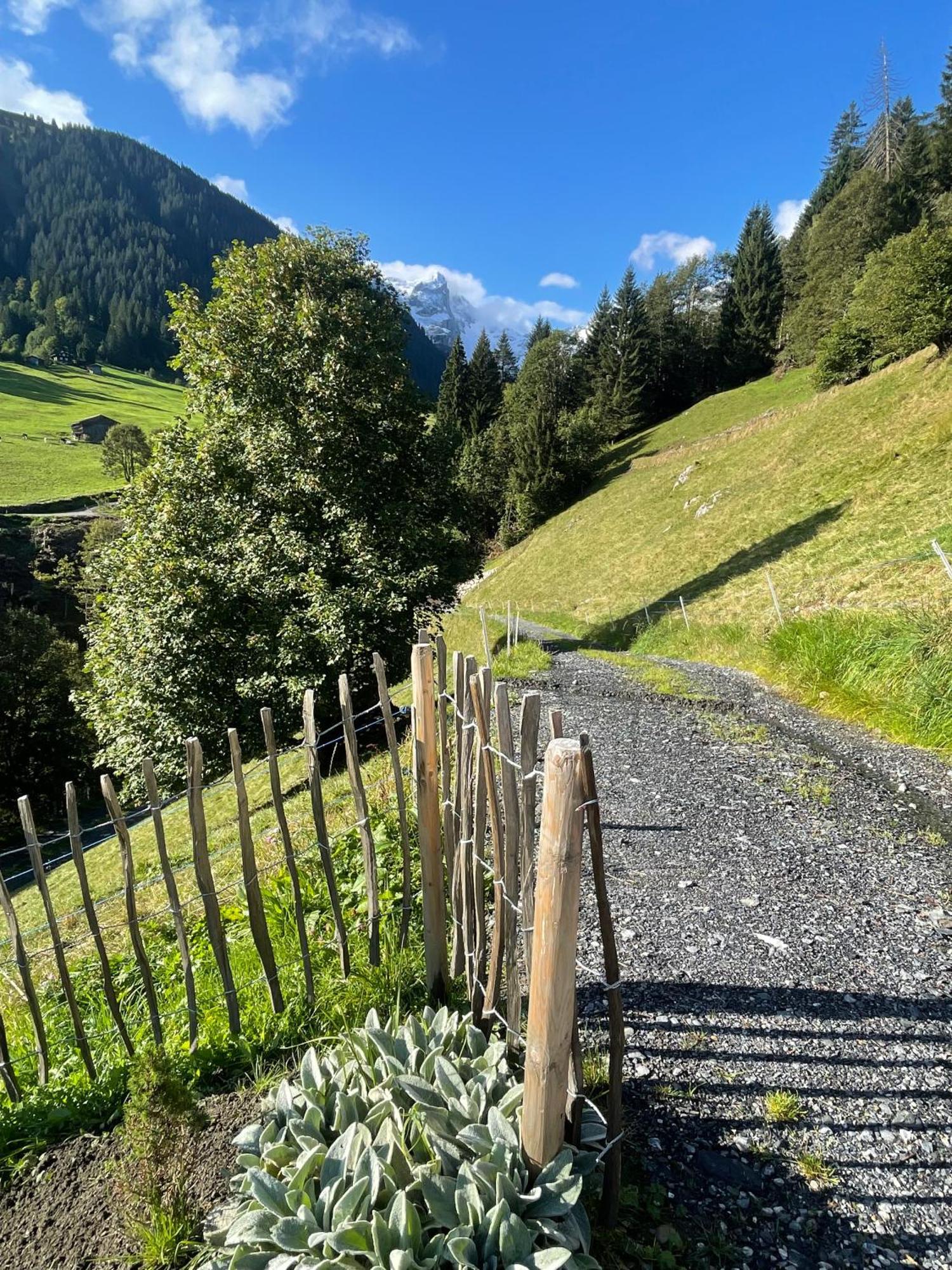 Alpenchalet Piz Huesli تشاغنز المظهر الخارجي الصورة