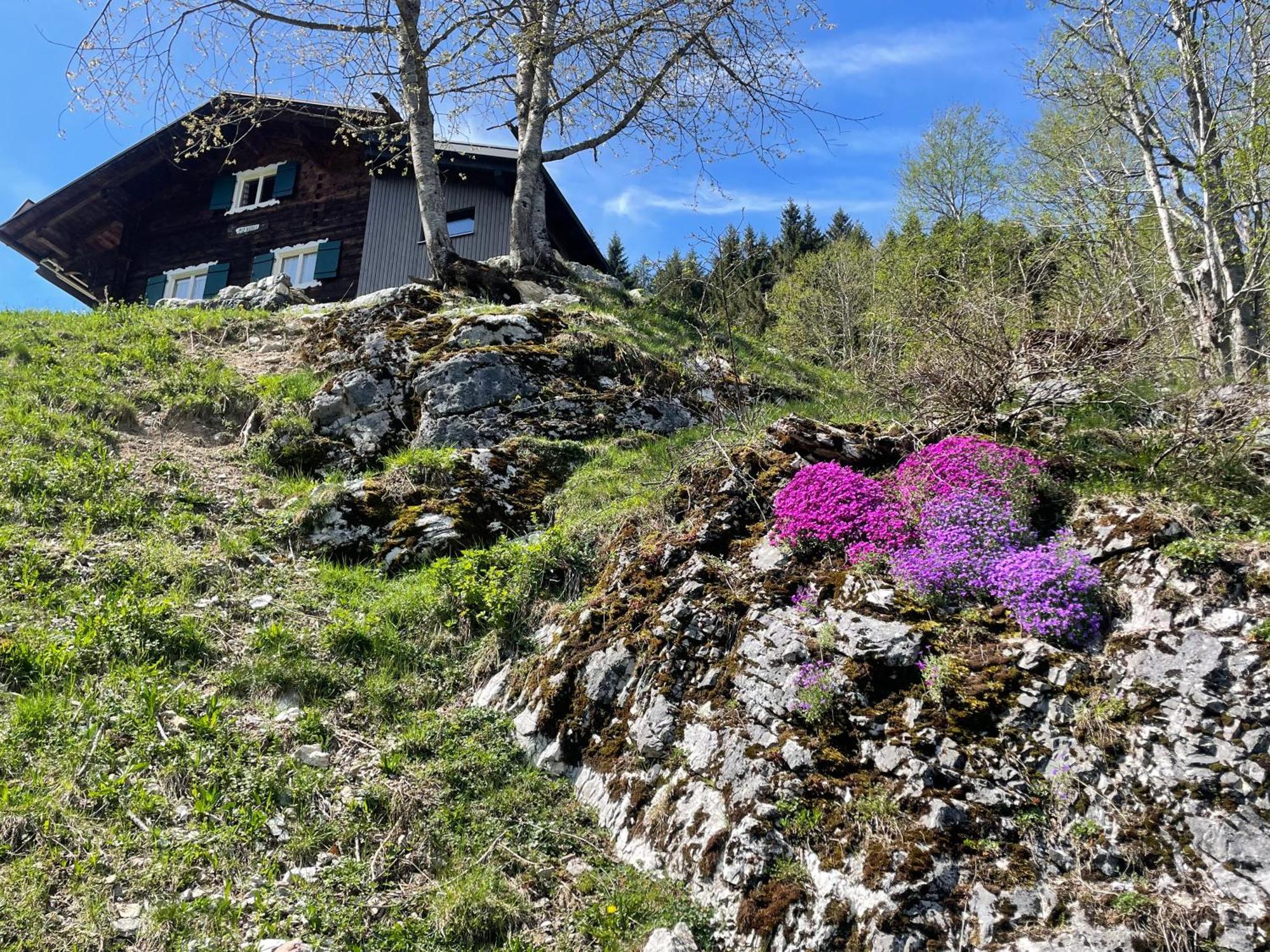 Alpenchalet Piz Huesli تشاغنز المظهر الخارجي الصورة